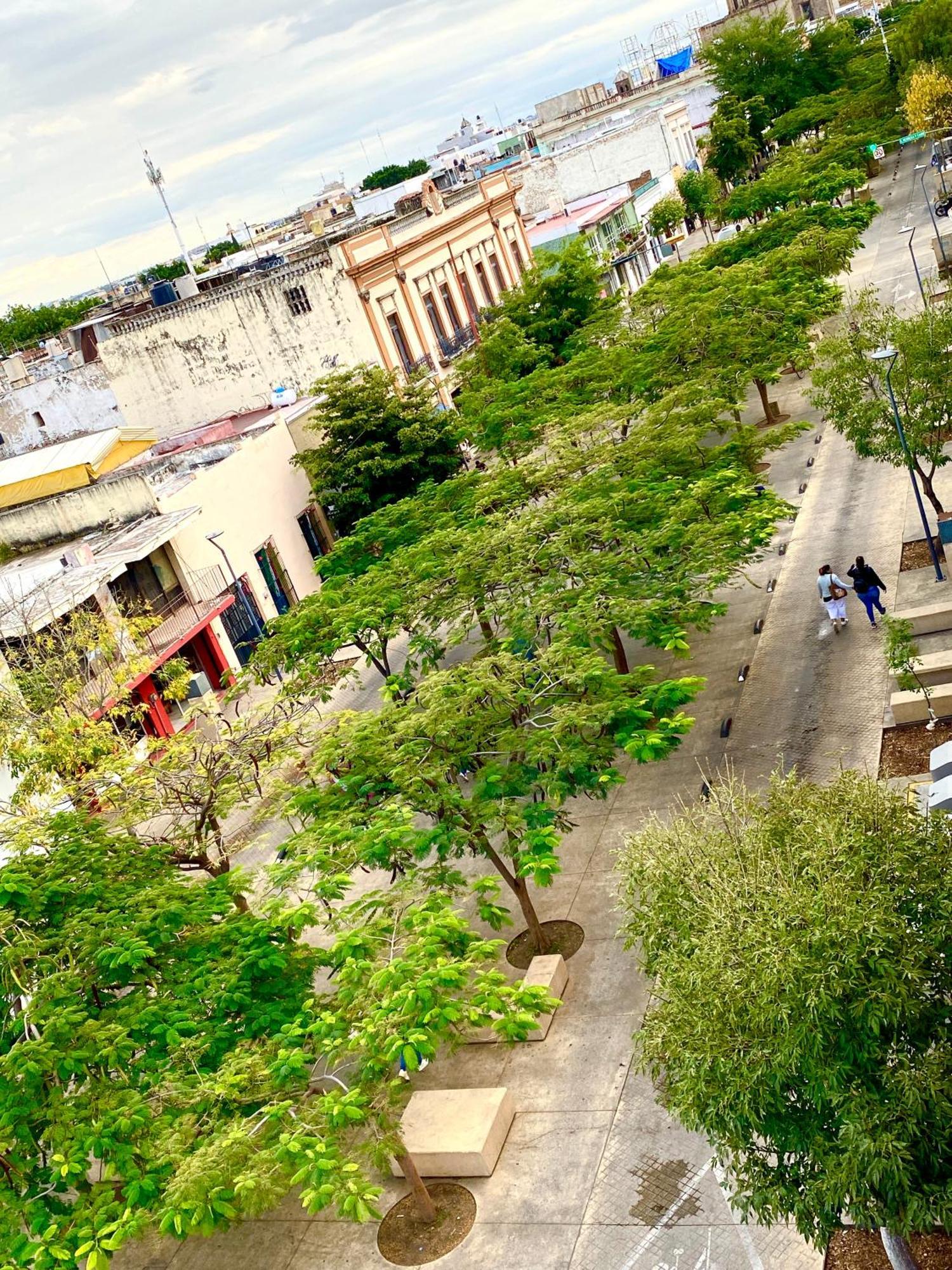 Hostal Santuario De Las Libelulas Guadalajara Exterior foto